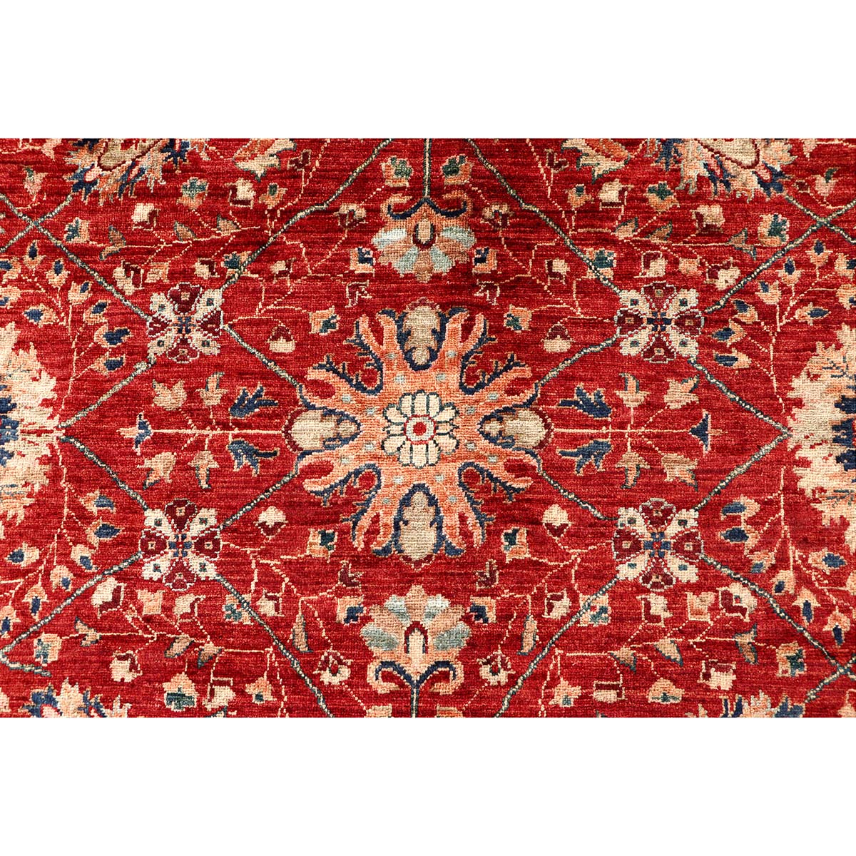ARYANA ARYAN RED / NAVY 9'9" X 13'9"
