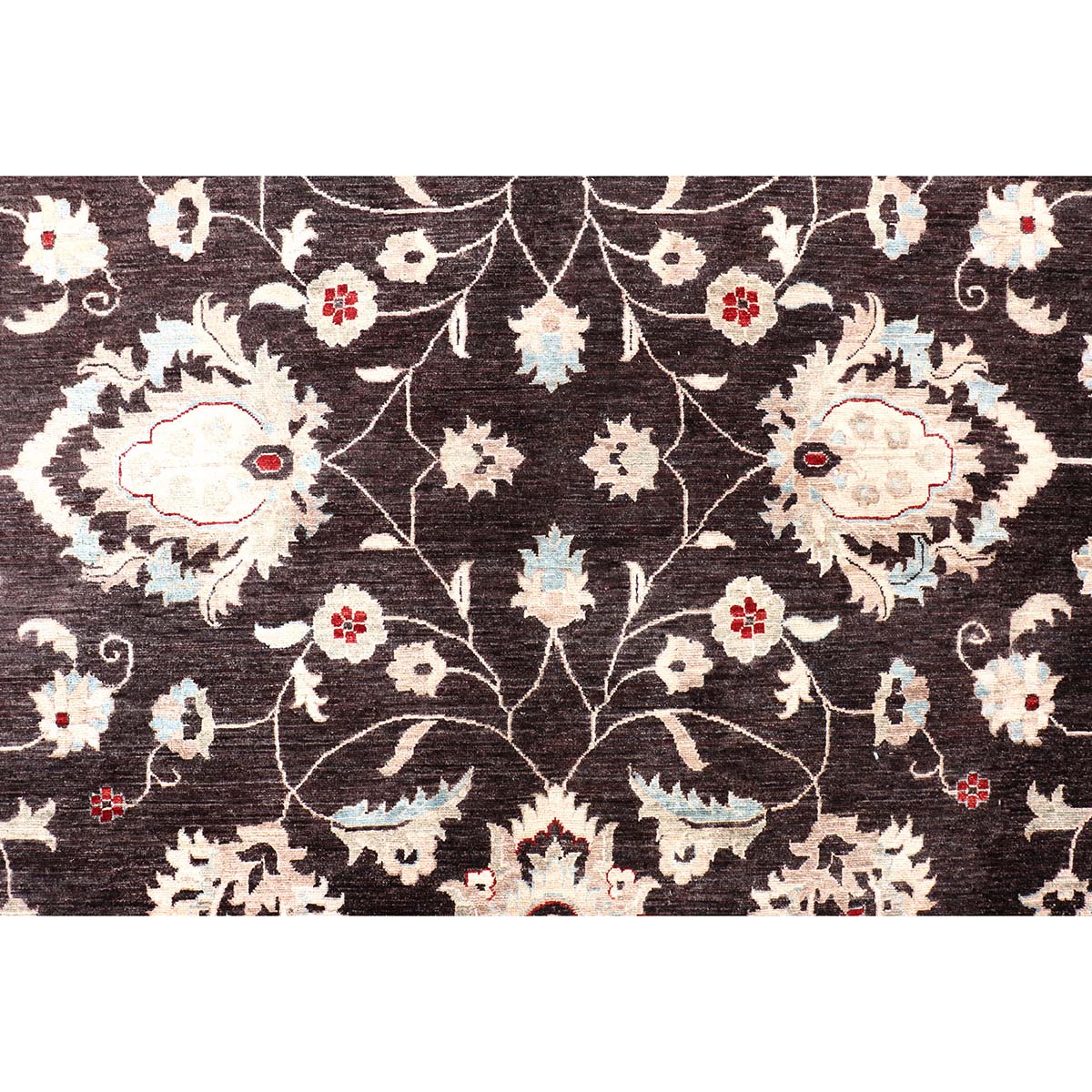 ARYANA ARYAN BLACK / IVORY 11'11" X 17'2"