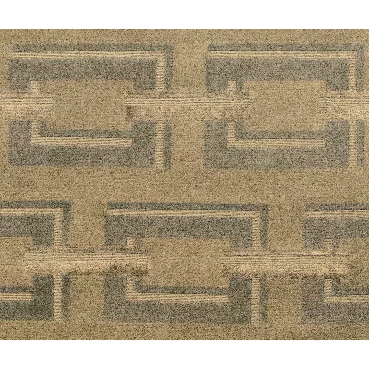 HIMALAYAN ART 3000 NOUCO CONNECT TORTILLA