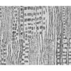 MOROCCAN 269TZ NATURAL / CHARCOAL