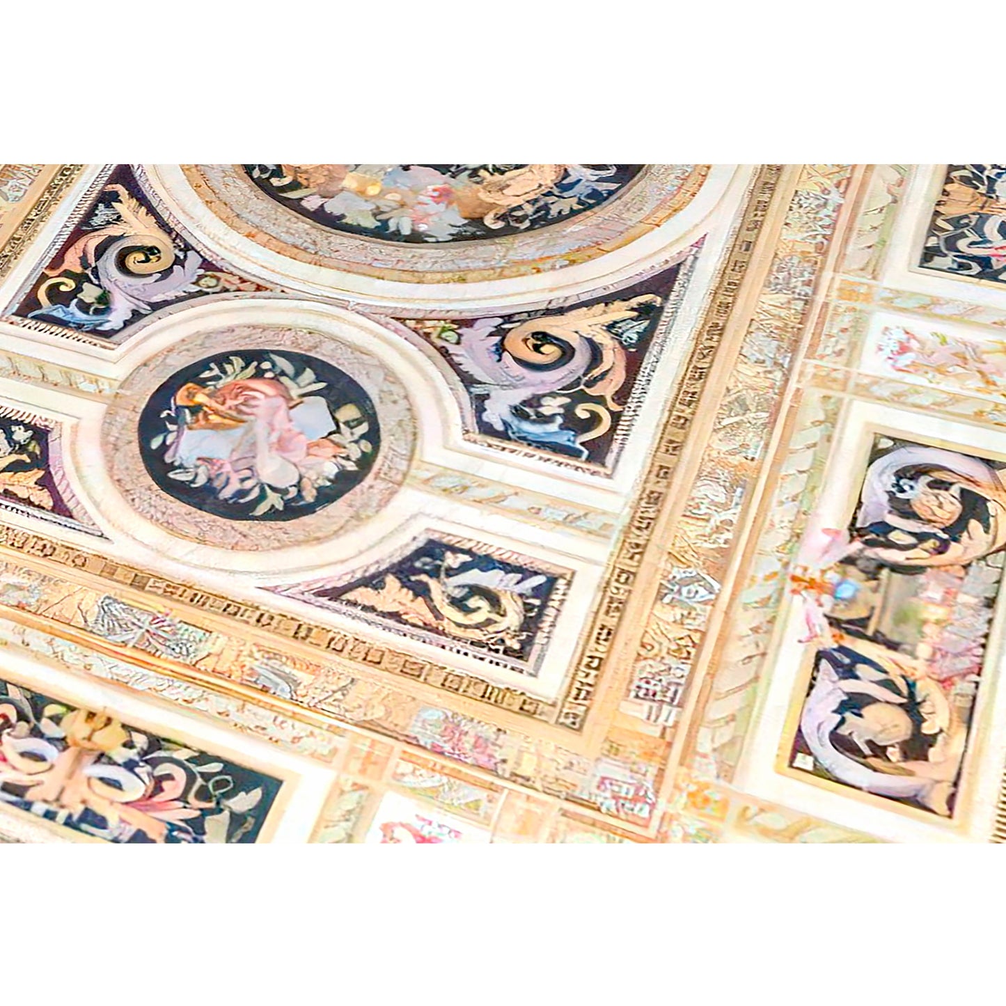 RENAISSANCE SAVONNERIE S196B IVORY / BLACK 11'8" X 18'5"