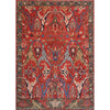 ARYANA ARYAN RUST / GREEN 9' X 11'9"
