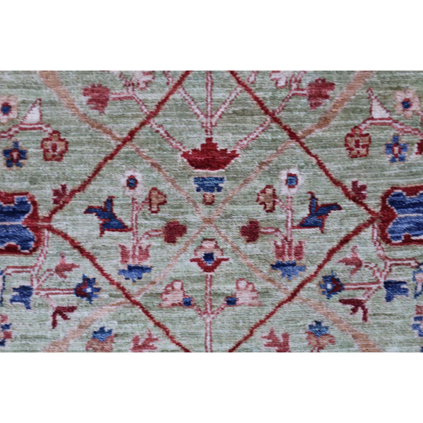 ARYANA ARYAN GREEN / RED 2'7" X 9'9"