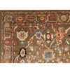 ARYANA ARYAN BROWN / MULTI 9' X 11'9"