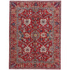 ARYANA ARYAN RED / RED 4'10" X 6'6"