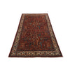 ARYANA ARYAN RED / IVORY 4' X 6'6"