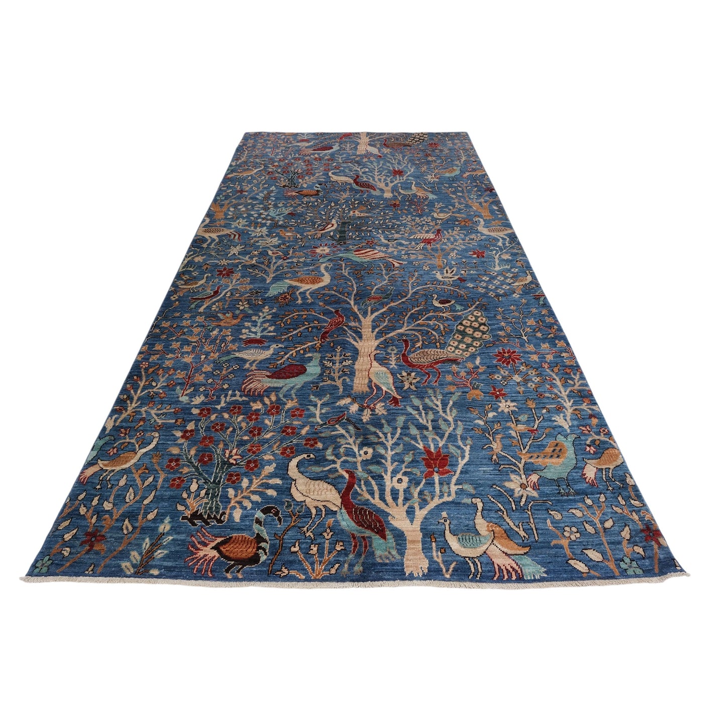 ARYANA ARYAN LIGHT BLUE / RED 5'1" X 10'1"
