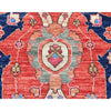 ARYANA ARYAN MULTI  9'1" X 12'1"