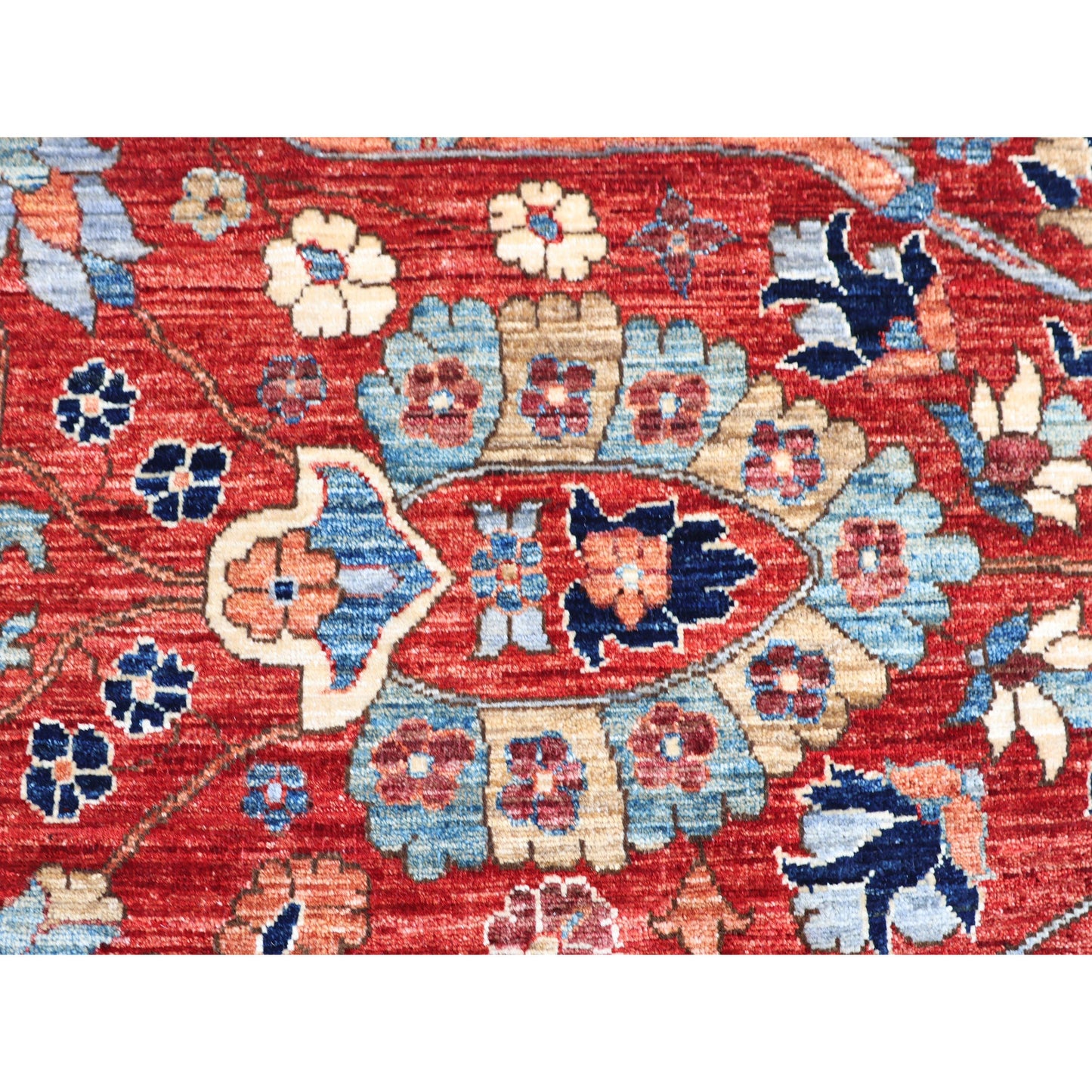 ARYANA ARYAN MULTI 9'10" X 14'2"
