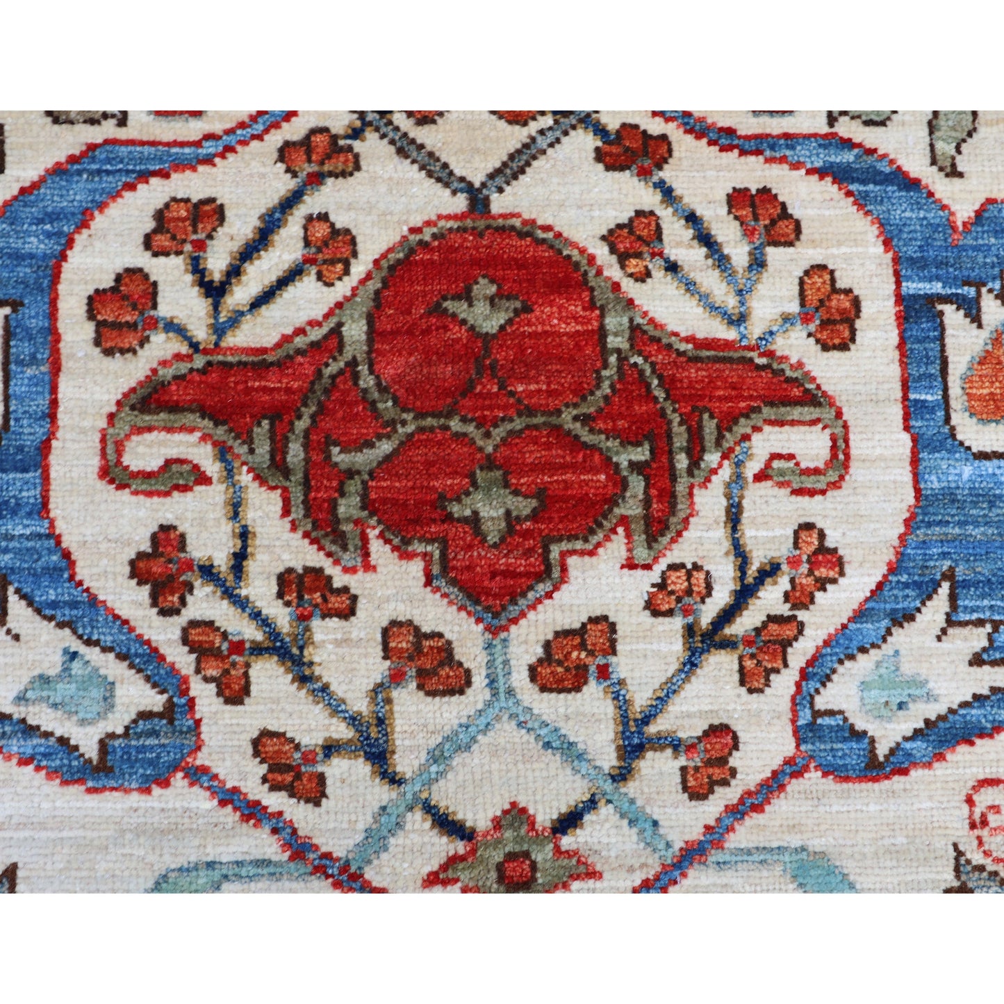 ARYANA ARYAN MULTI 10' X 14'