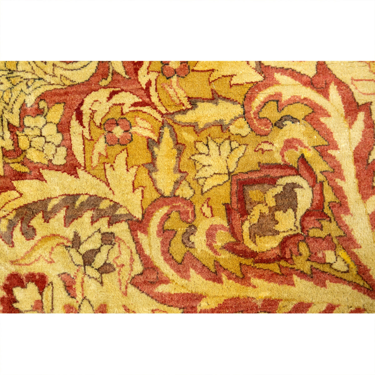 ANTIQUE INDIA AGRA STYLE AGRA IVORY / IVORY 16'9" X 22'9"