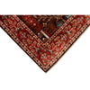 ARYANA ARYAN BROWN / RED 3'10" X 14'1"