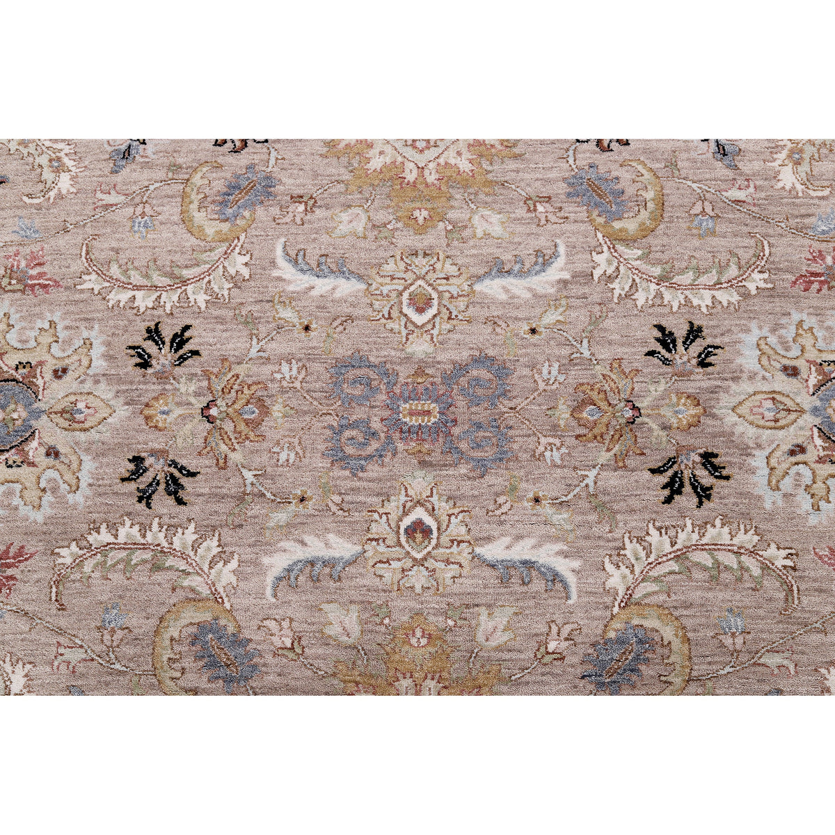 ALLENTON AL538 CAMEL / IVORY