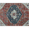 ANTIQUE SERAPI P1SER RED / RED 10' X 19'9"