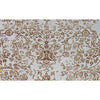 BROOKHAVEN DC140 SILVER / GOLD