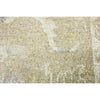 BROOKHAVEN DC149 NATURAL / MULTI