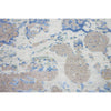 BROOKHAVEN GLX16 SILVER / MULTI