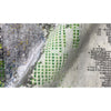 CANTERBURY 121GV IVORY / MULTI