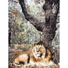CANTERBURY RJ231 BEIGE / MULTI