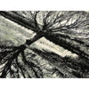 CANVAS ART II 16064 MULTI