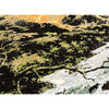 CANVAS ART II 16067 MULTI