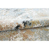 CANVAS ART W/ SILK C7406 DENNISON MULTI