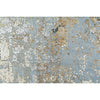 CANVAS ART W/ SILK C7406 DENNISON MULTI