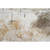 CANVAS ART W/ SILK C9701 BEIGE / BROWN