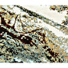 CANVAS ART J1112 MUILTI / MULTI