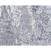CANVAS ART J1114 MULTI / MULTI
