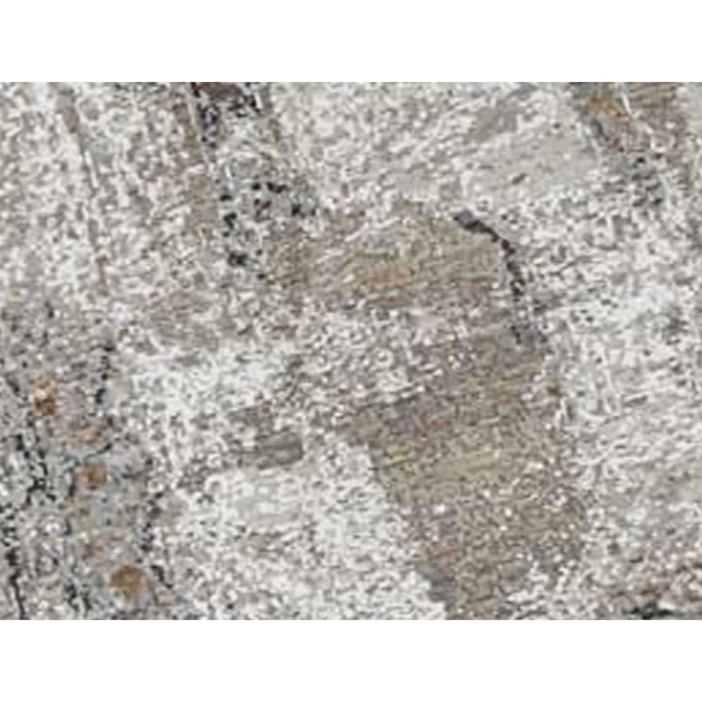 CANVAS ART K1039 MULTI / BEIGE