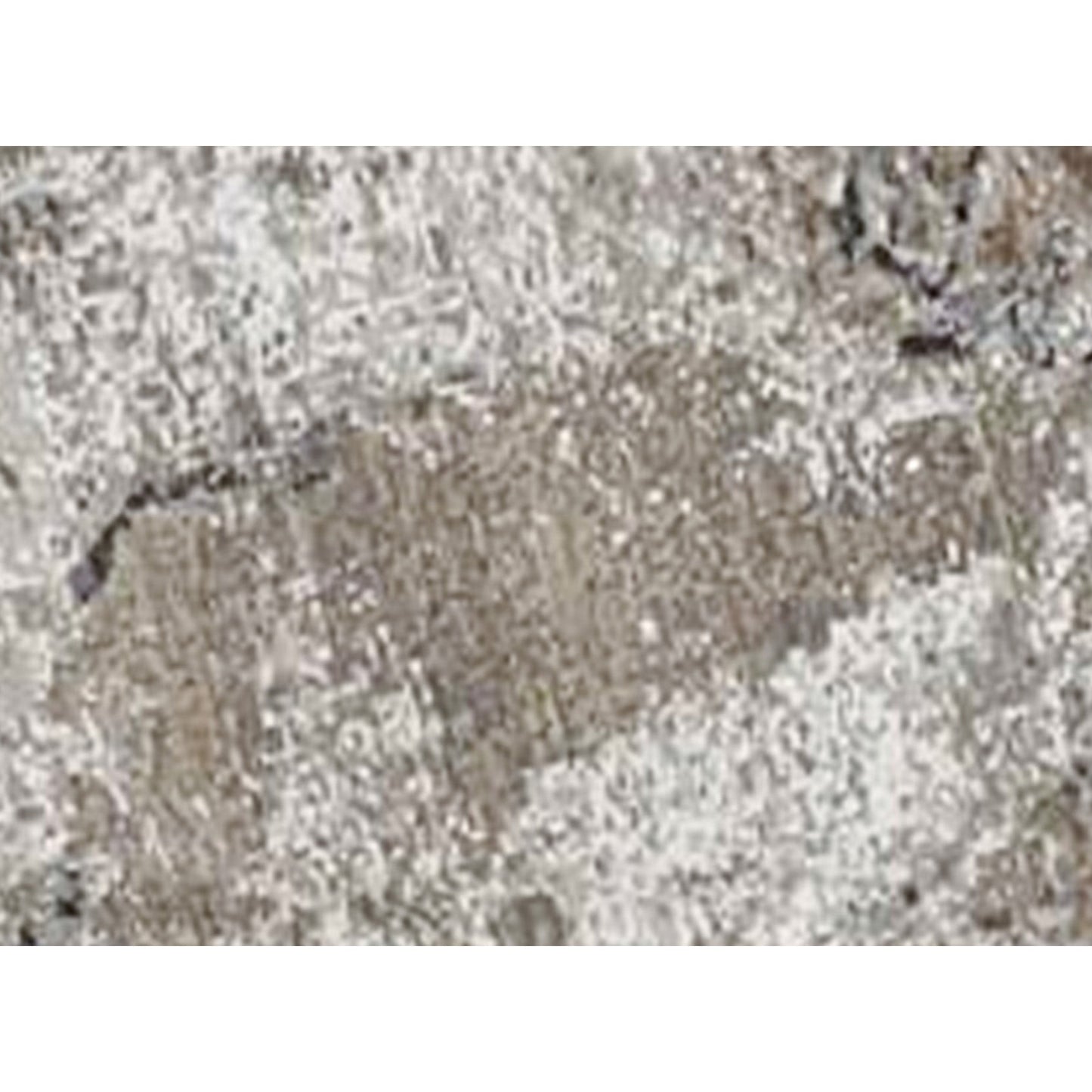 CANVAS ART K1039 MULTI / BEIGE