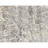 CANVAS ART ND-16 NATURAL / WHITE