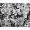 CANVAS ART PC086 GREY