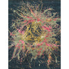 CANVAS ART SE805 MULTI / MULTI