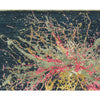 CANVAS ART SE805 MULTI / MULTI