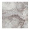 CANVAS ART W / SILK J2066 BEIGE / BROWN