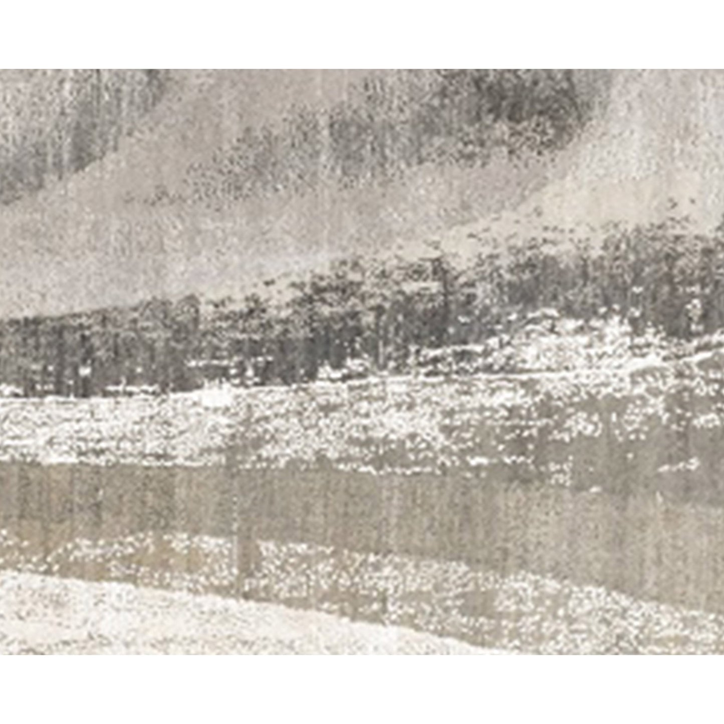 CANVAS ART W/ SILK JCD15 SILVER / GREY