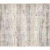 COSMOPALITAN S1763 GREY / SILVER