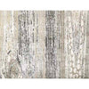 COSMOPALITAN S1763 GREY / SILVER
