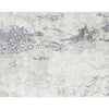 CANVAS ART ALTAIRE SILVER