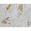 CANVAS ART RUP17 SILVER / MULTI