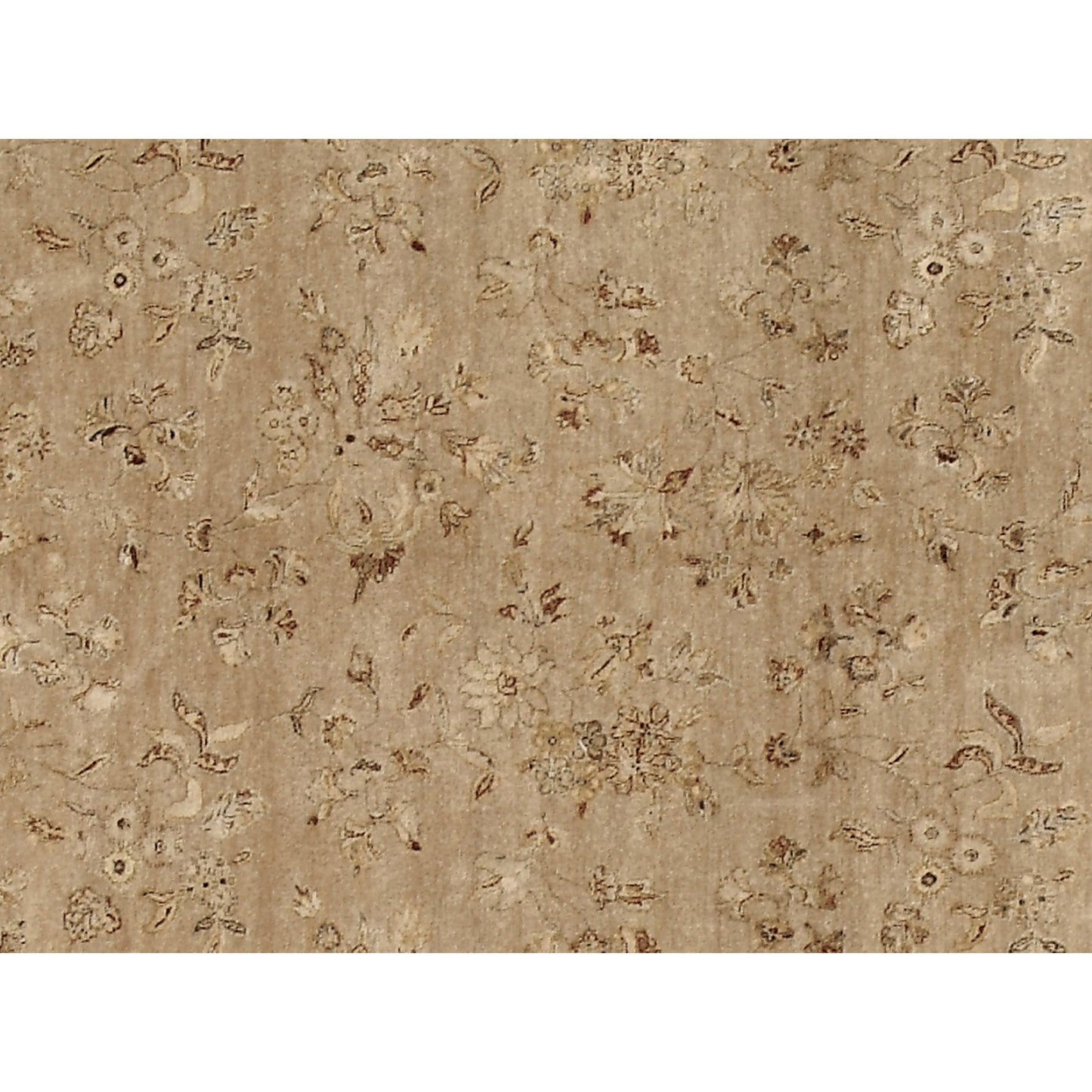 DHARMA BRIMA CREAM / IVORY