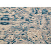 GREENWICH GU081 BEIGE / BLUE