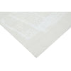 HANDLOOMED JACQUARD 581OC IVORY / WHITE
