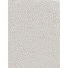 HIMALAYAN ART 2000 E1073 BEIGE / SILVER