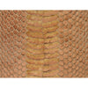 HIMALAYAN ART 2000 T1023 RUST