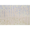 HIMALAYAN ART 3000 BC203 LIGHT BLUE / MULTI