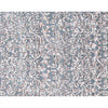HIMALAYAN ART 3000 BC204 GREY / LIGHT BLUE