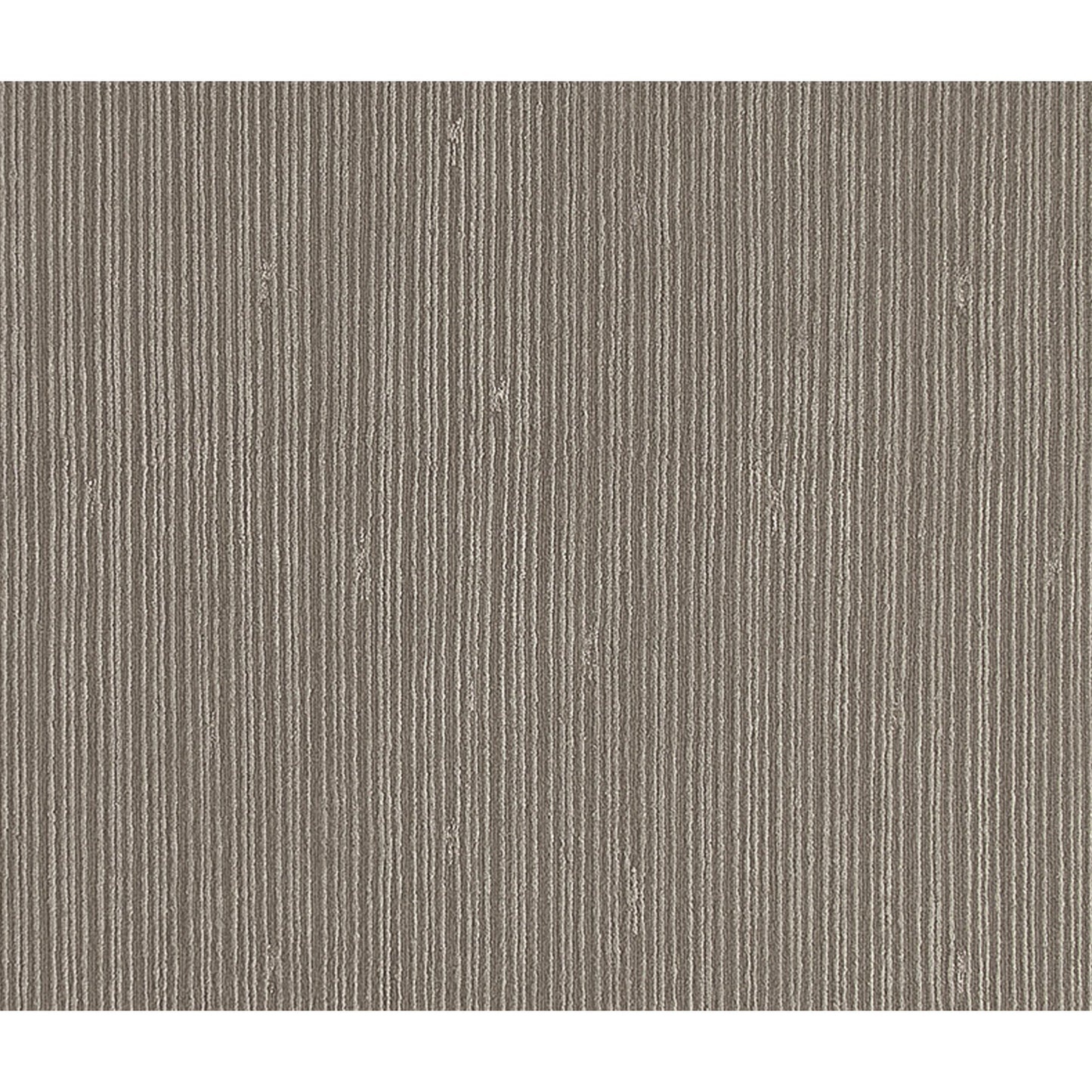 HIMALAYAN ART 3000 NOUBA BARK FOSSIL